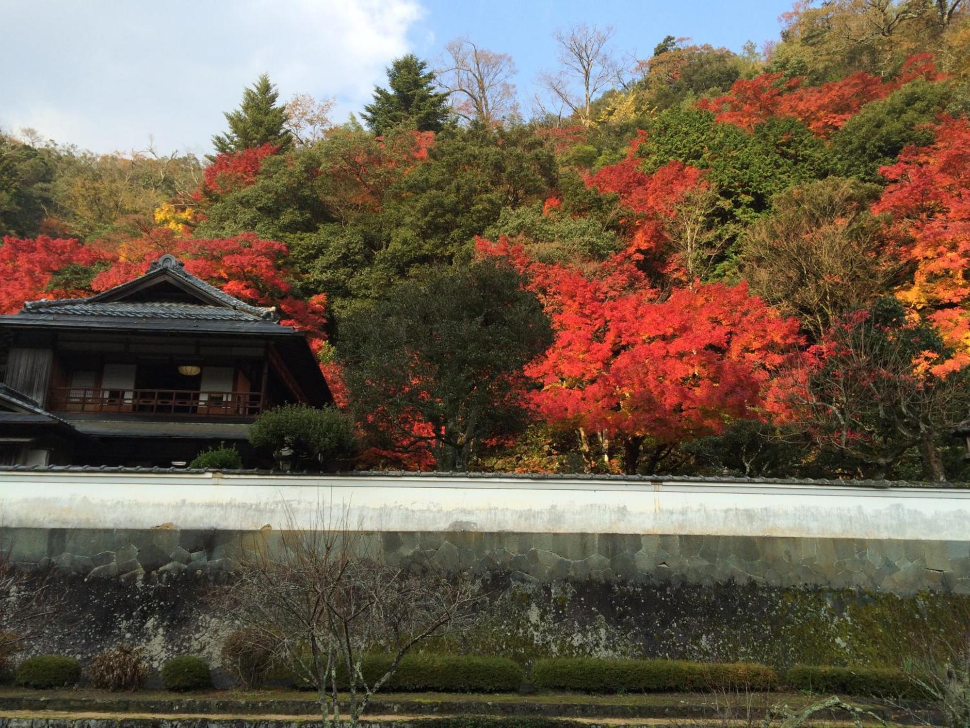 のれん宿　明月 津和野町 エクステリア 写真